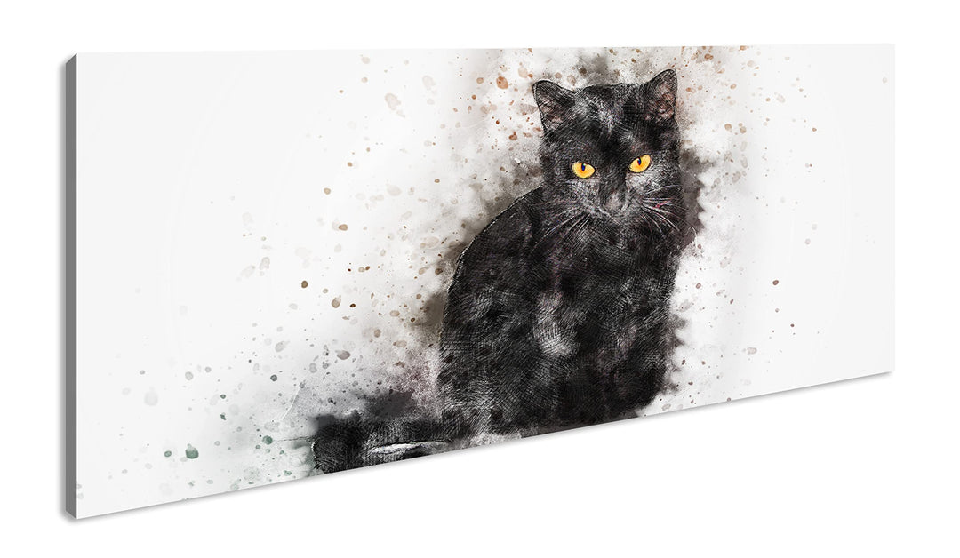 Katze Hauskatze Panorama 80x40 cm als Leinwandbild, Motiv fertig gerahmt auf Echtholzrahmen, Hochwer