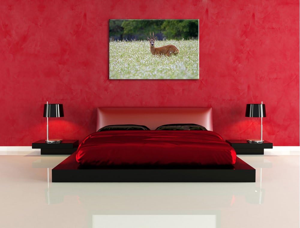 junger Hirsch auf Wildwiese Leinwand, XXL riesige Bilder fertig gerahmt mit Keilrahmen, Kunstdruck a