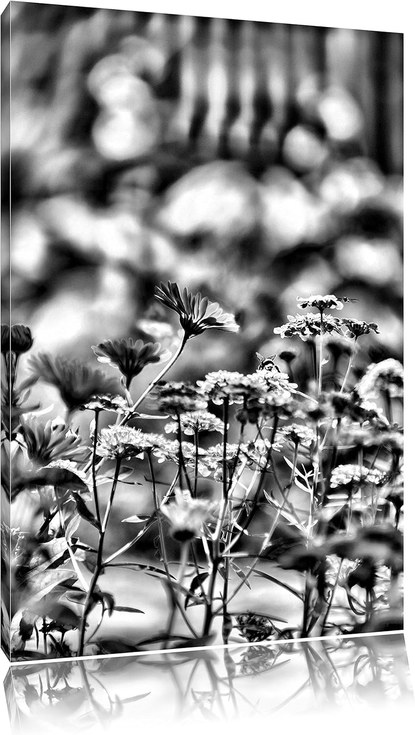 Monocrome, Blumenwiese, Format: 100x70 auf Leinwand, XXL riesige Bilder fertig gerahmt mit Keilrahme