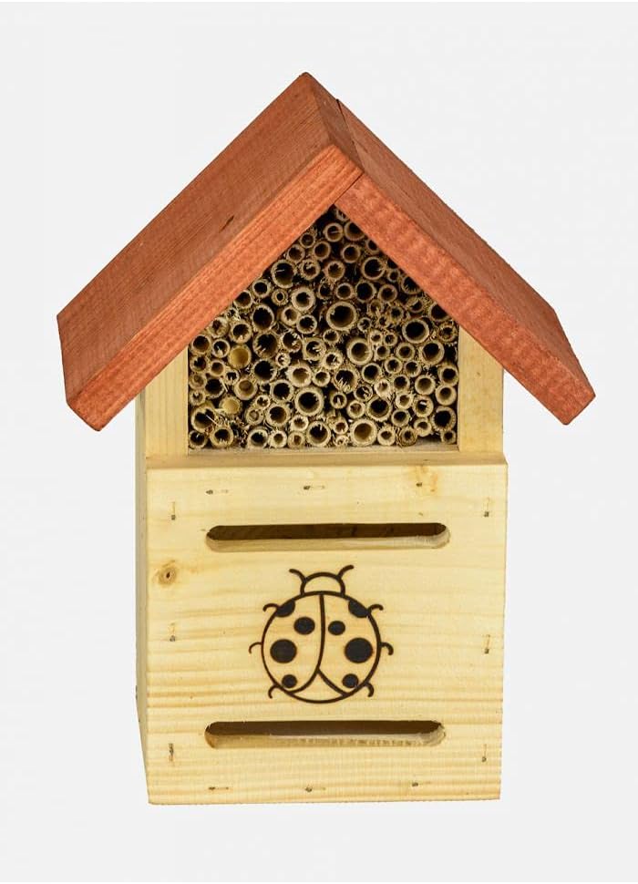 Insektenotel Für Marienkäfer MKW 2IN1