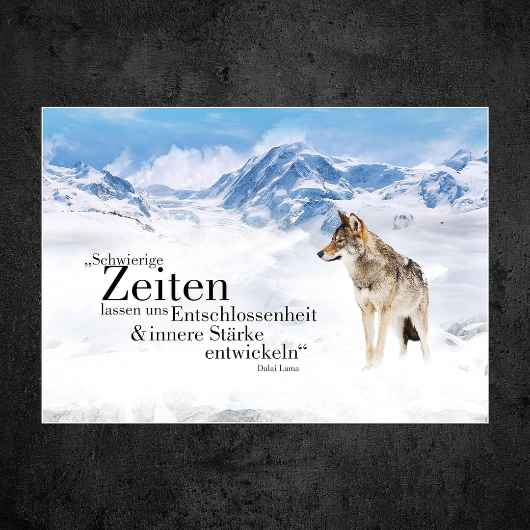 wandmotiv24 Poster als Wanddeko, Grösse Din A0, Wolf in den Bergen, Entschlossenheit, Wölfe, Tiere,