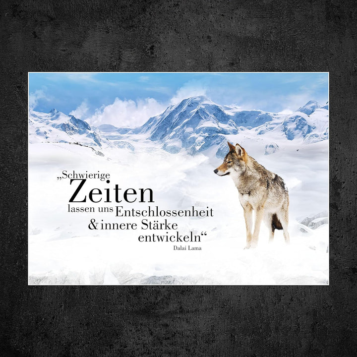 wandmotiv24 Poster als Wanddeko, Grösse Din A0, Wolf in den Bergen, Entschlossenheit, Wölfe, Tiere,