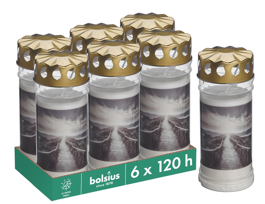Bolsius Grablicht - Weiss - 6 Stück - Länge Brenndauer 120 Stunden - Trauerkerze & Gedenkstätte Kerz