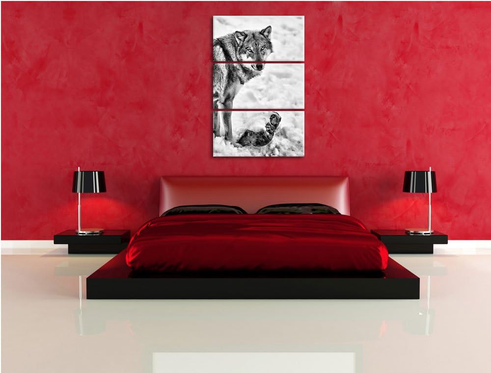 Pixxprint prächtiger Wolf im Schnee als Leinwandbild/Grösse: 3 Teilig (120x80) cm/Wandbild/Kunstdruc