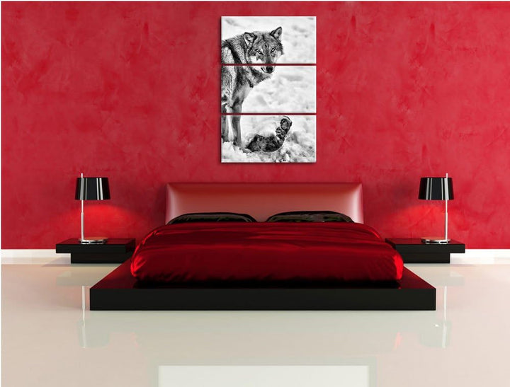 Pixxprint prächtiger Wolf im Schnee als Leinwandbild/Grösse: 3 Teilig (120x80) cm/Wandbild/Kunstdruc