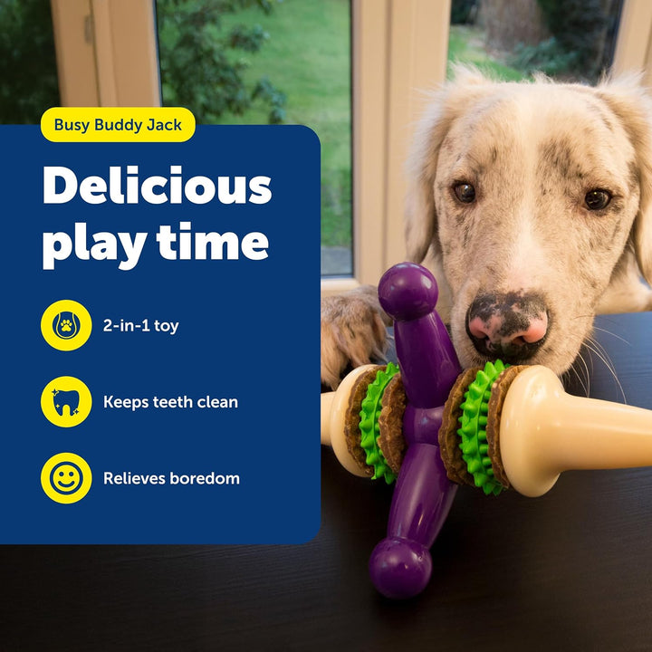 PetSafe Busy Buddy Jack Hundespielzeug, L
