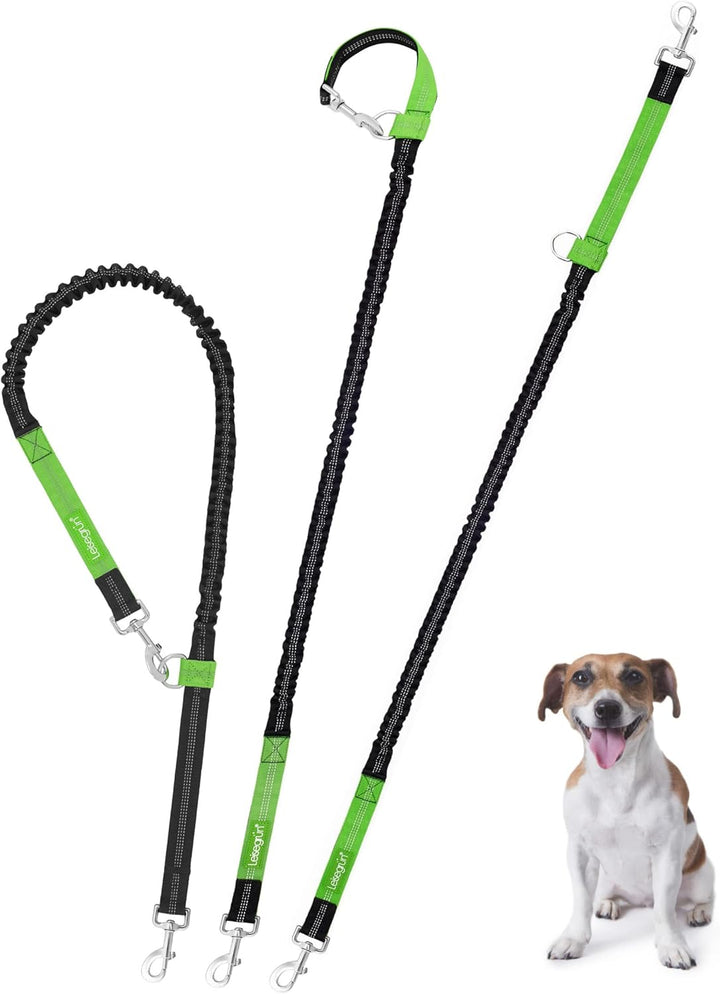 Leisegrün Bungeeleine für kleine Hunde bis 10 kg - Elastische Hundeleine für Joggingleine - Länge 13
