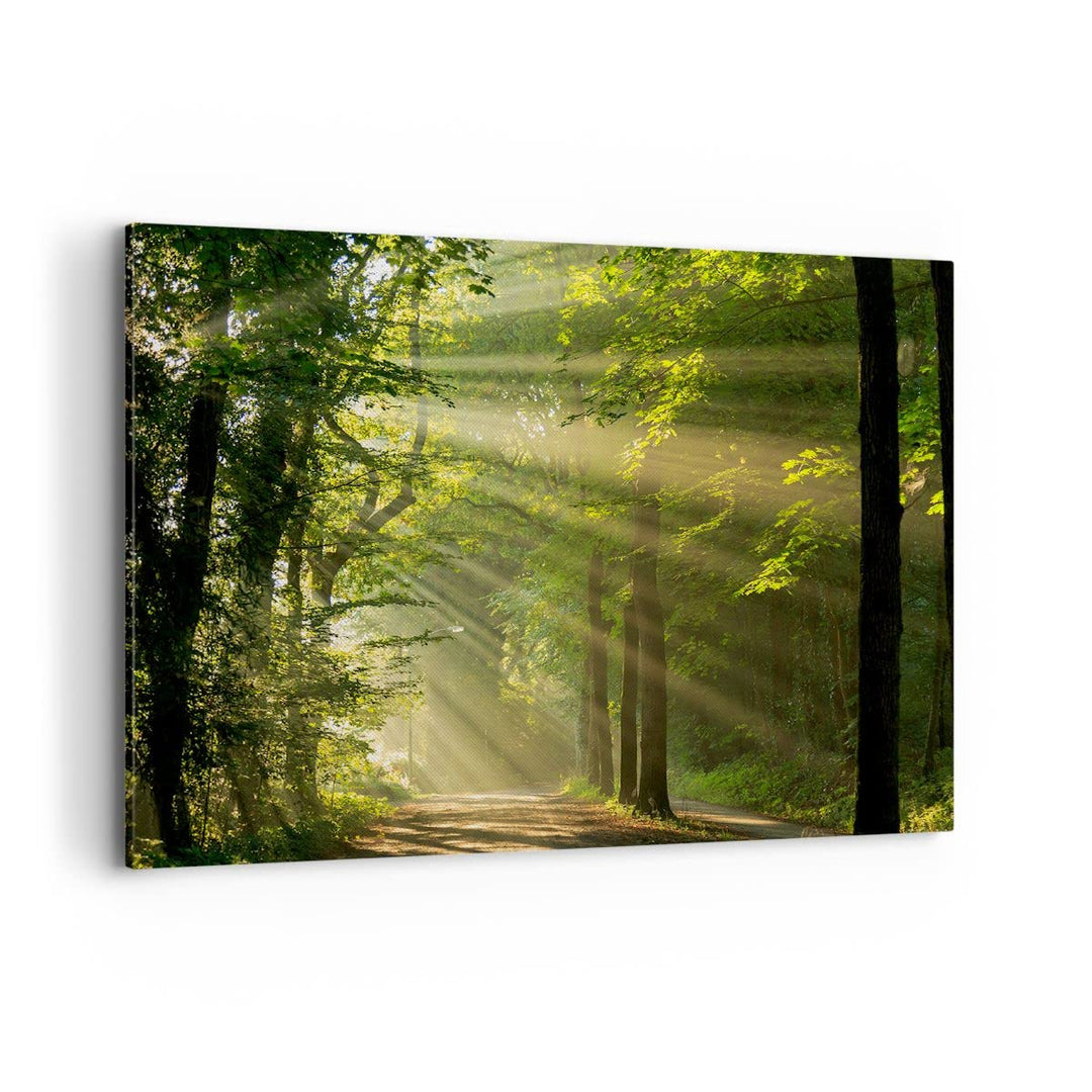 Bilder auf Leinwand 100x70cm Leinwandbild mit Rahmen Wald Baum Natur Gross Wanddeko Bild Schlafzimme