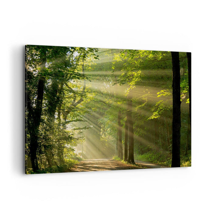 Bilder auf Leinwand 100x70cm Leinwandbild mit Rahmen Wald Baum Natur Gross Wanddeko Bild Schlafzimme