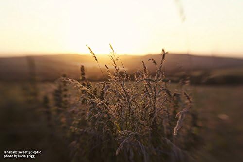 LensBaby - Sweet 50 Optic - Unerwartete Tiefe und Bewegung - Feiner Schärfepunkt - Für Porträts, Lan