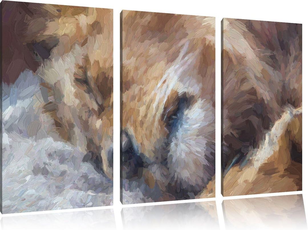 Pixxprint schlafender Löwe Kunst als Leinwandbild/Grösse: 3 Teilig (120x80) / Wandbild/Kunstdruck/fe