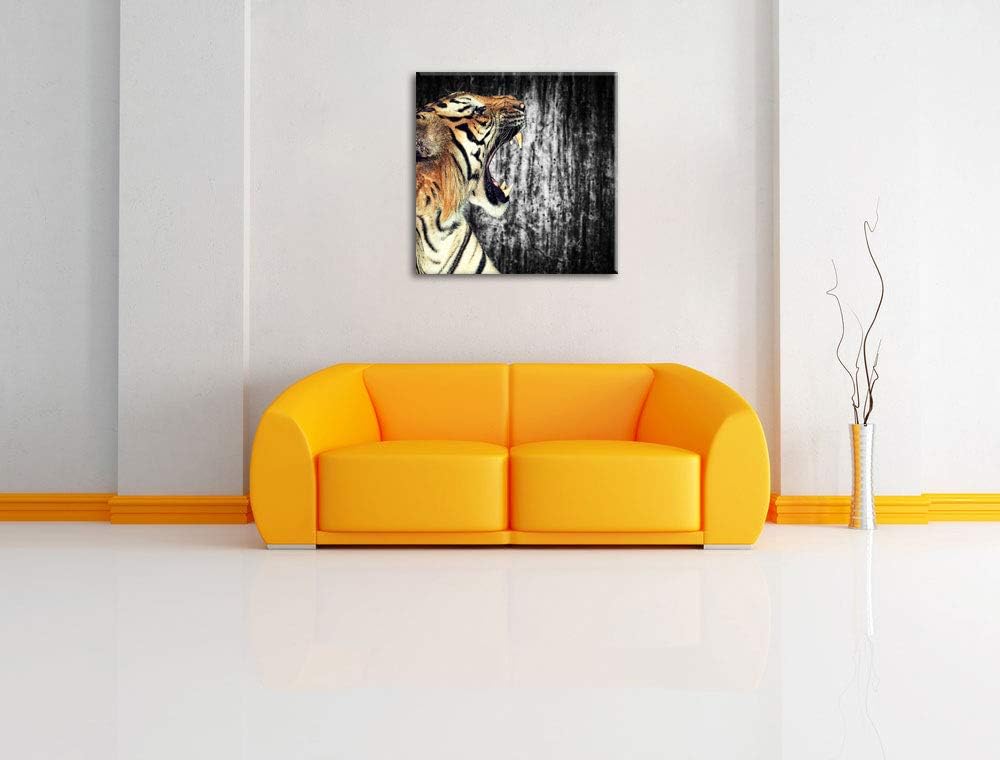 Pixxprint gähnender Tiger schwarz/weiss, Format: 70x70 auf Leinwand, 70x70