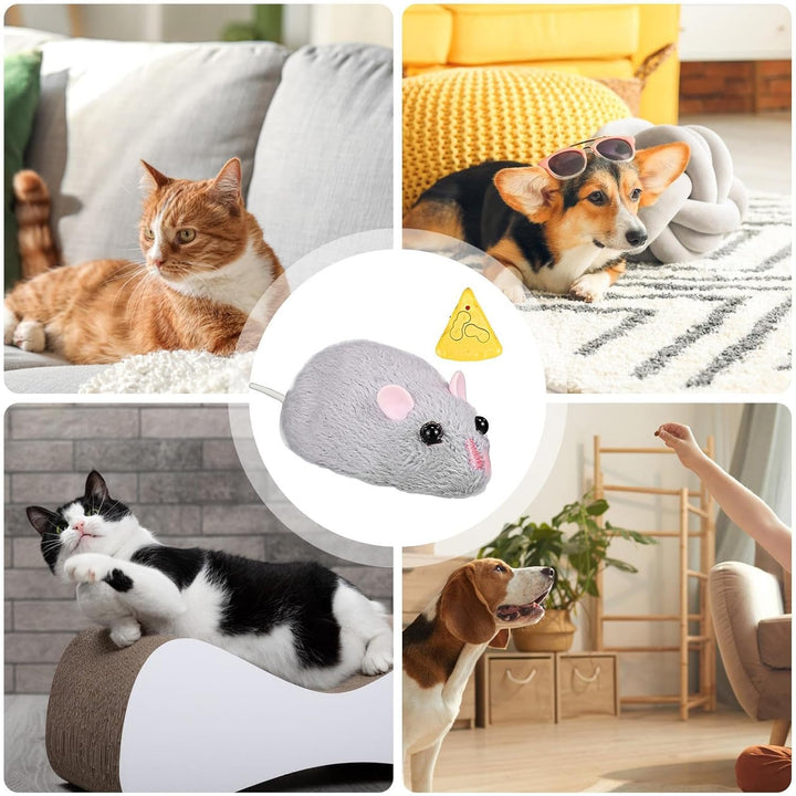 Elektrische Katzenspielzeugmäuse – Magische Katzenmaus | Interaktives Katzenspielzeug Mit Fernbedien