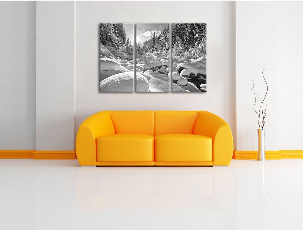 Pixxprint Sonnenstrahlenbedeckten Wald B&W / 3-Teilig/Gesamtmass 120cm Leinwandbild bespannt auf Hol