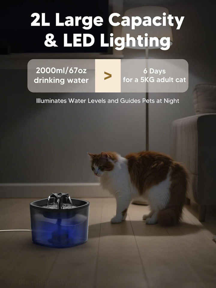 Automatischer Trinkbrunnen für Katzen – 2L Fassungsvermögen, 4‑Stufen‑Filtration, leise Pumpe (, Sch