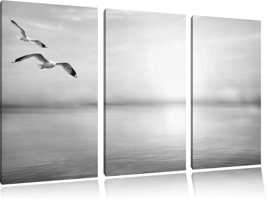 Pixxprint Möwen am Meer bei Sonnenaufgang als Leinwandbild/Grösse: 3 Teilig (120x80) cm/Wandbild/Kun