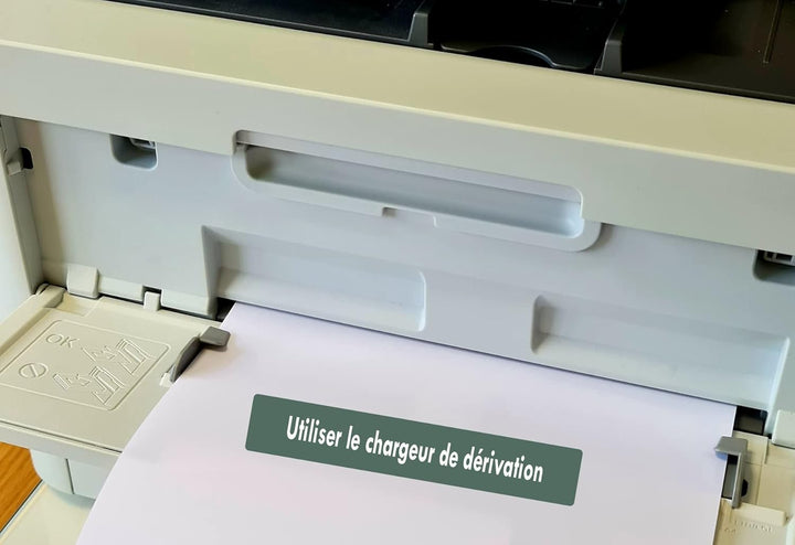 Transparente Backlight Folie mit Blättern, 150 g, für Laserdrucker oder Tintenstrahldrucker, Papier