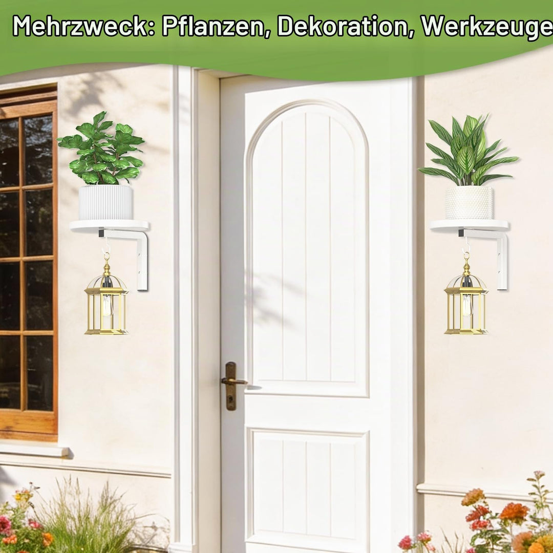 iDavosic.ly Wand Pflanzenhalter Set aus 2 Stück, Metall Blumenständer mit 2 Haken, Wandmontage Blume