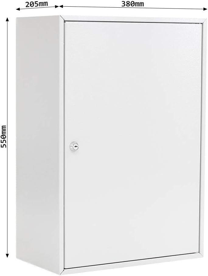 Rottner Schlüsselschrank Eintürig S 250 mit Zylinderschloss, Lichtgrau, 250 Schlüsselanhänger gratis