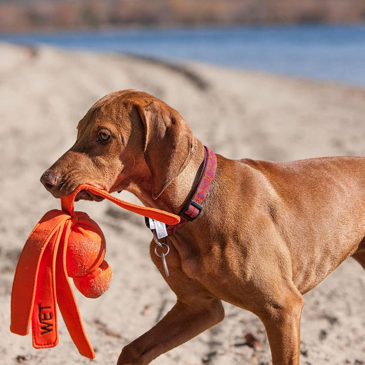KONG – Wubba Wet – Schwimmendes Wasserspielzeug zum Apportieren (Farbvar.) – Für Grosse Hunde 1 Stüc