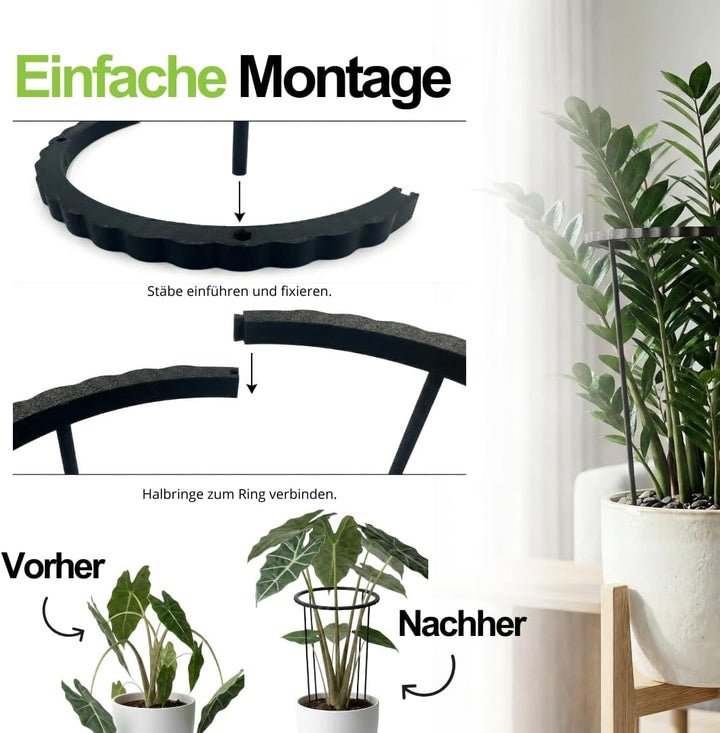 PLANTINITY Rankhilfe Aus Biokunststoff, 4er Set, 21x50 cm | Stützring Für Stauden Und Zimmergrün, Fü