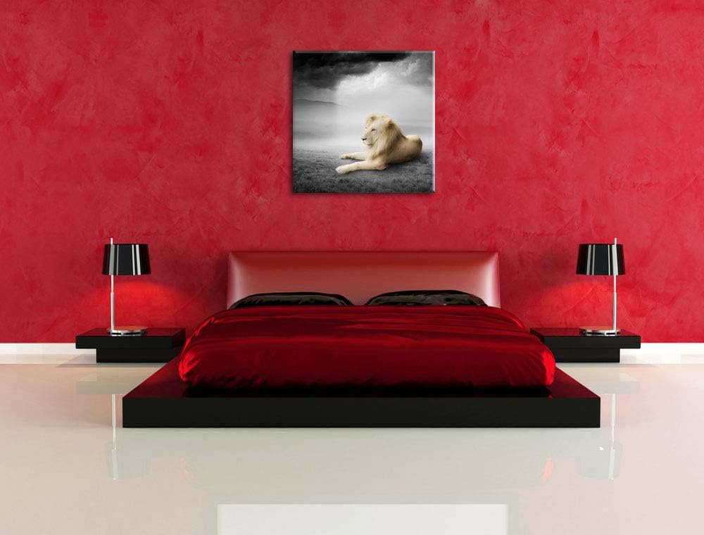 Pixxprint stolzer Löwe in Steppe als Leinwandbild | Grösse: 70x70 cm | Wandbild| Kunstdruck | fertig