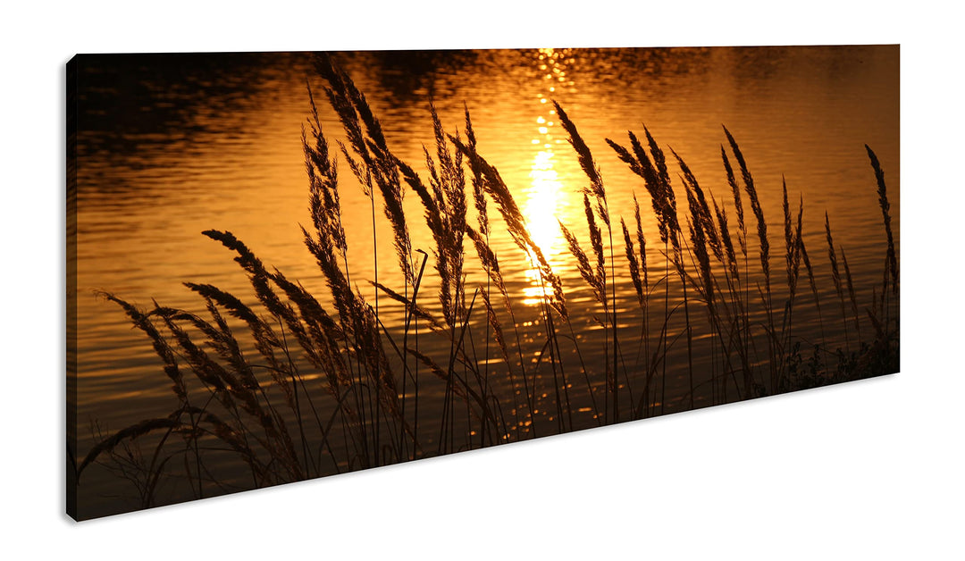 Gräser am Ufer eines Sees Panorama 100x50 cm als Leinwandbild, Motiv fertig gerahmt auf Echtholzrahm