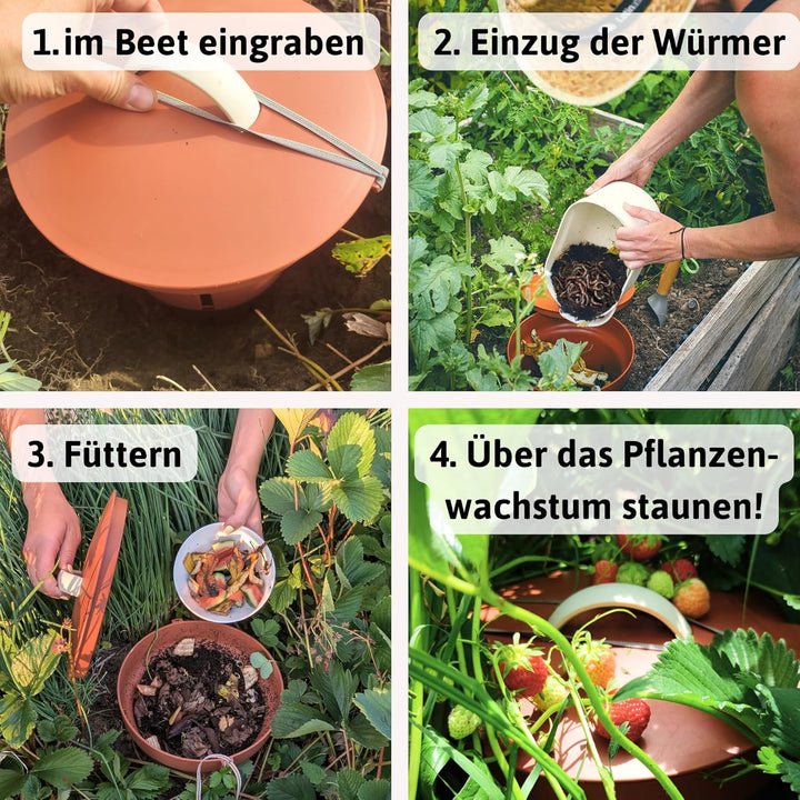 Beetkomposter Wurmvase XL - Wurm Komposter Garten zum Eingraben inkl. Wurmkiste Anleitung, Wurmvase