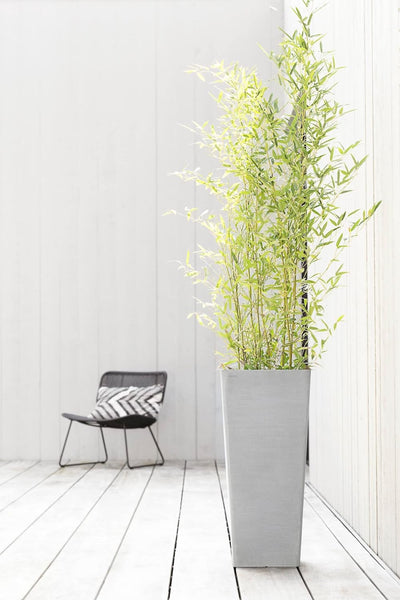 ECOPOTS Blumentopf Rotterdam Weiss Grau - 32 x 32 cm, 70 cm extra hoch - quadratisch gross - Pflanze