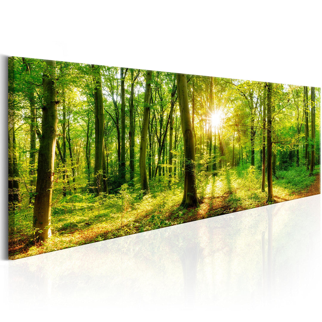 murando Acrylglasbild Wald 120x40 cm 1 Teile Wandbild auf Acryl Glas Bilder Kunstdruck Moderne Wandd