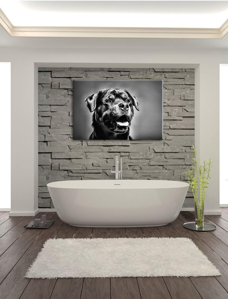Pixxprint Monocrome, Treuer Rottweiler, Format: 100x70 auf Leinwand, 100x70