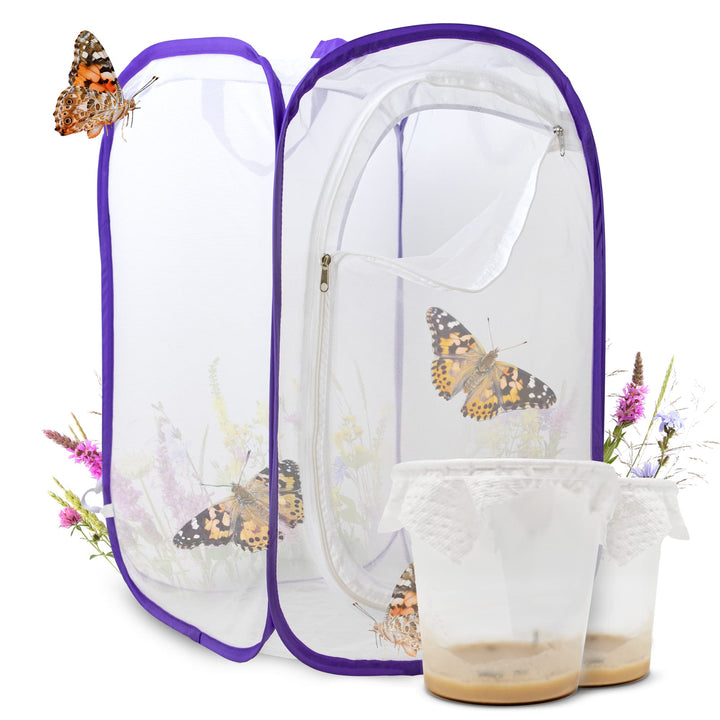 Schmetterlingszucht-Set für Kinder | Ca. 14 Raupen + grossem Habitat (40x40x60 cm) | GRATIS E-Book +