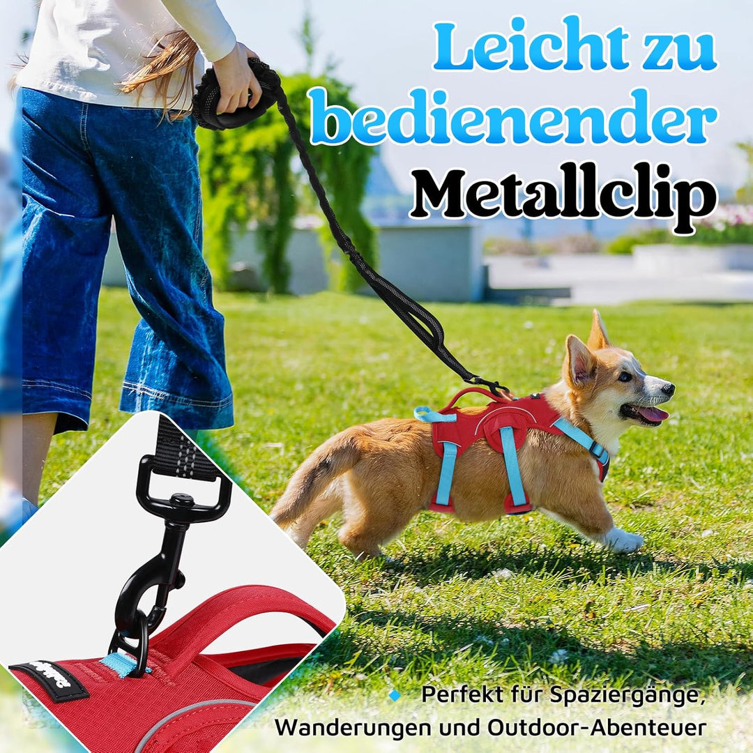 rabbitgoo Hundegeschirr Mittelgrosse Hunde，Sicherheitsgeschirr Hund | Sicherer Hebegriff, einfache K