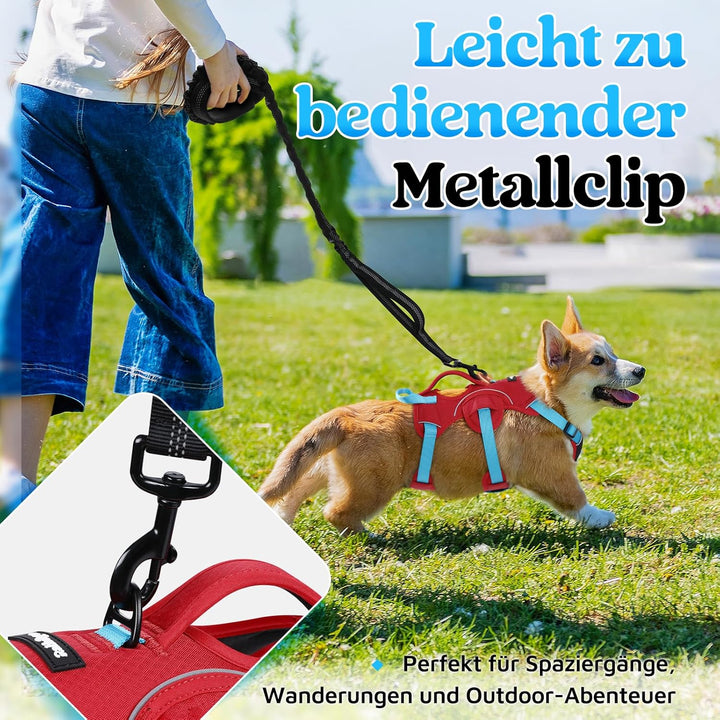 rabbitgoo Hundegeschirr Mittelgrosse Hunde，Sicherheitsgeschirr Hund | Sicherer Hebegriff, einfache K