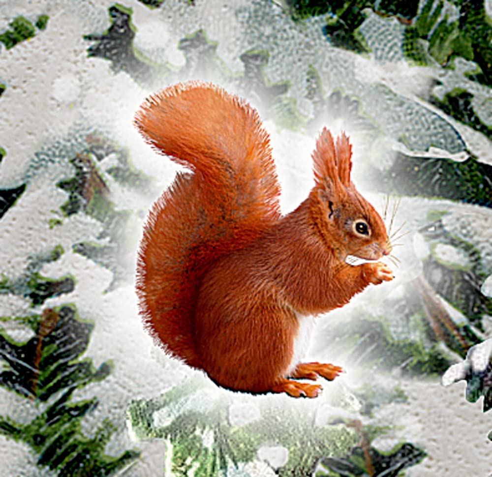 Wandkalender: Weihnachtslaterne, Kalender