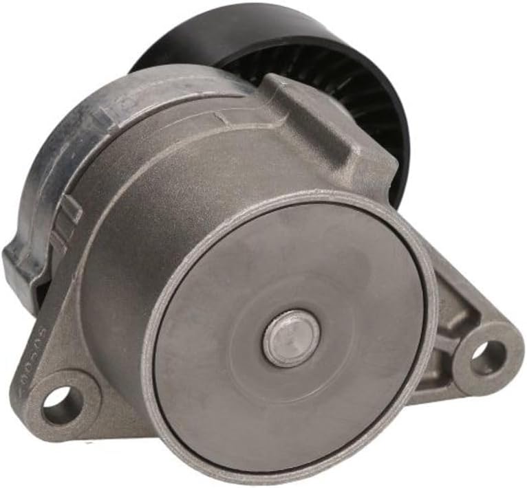 SNR GA36531 Spannrolle, Keilrippenriemen