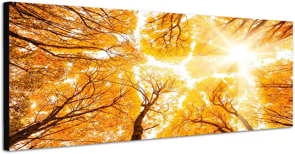Paul Sinus Art Panoramabild auf Leinwand und Keilrahmen 150x50cm Wald Baumkronen Himmel Sonnenlicht