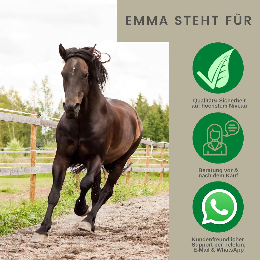 EMMA Huföl Pferde Kanister 2,5L + Hoof Oil Pferde mit Pinsel 0,5L Huffett Pferde I Hufpflege Hufe I