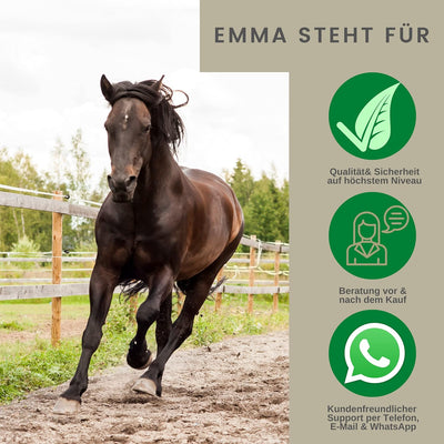 EMMA Huföl Pferde Kanister 2,5L Hufbalsam Pferde - Huffett Pferde I Hufpflege Hufe & Strahl I gegen