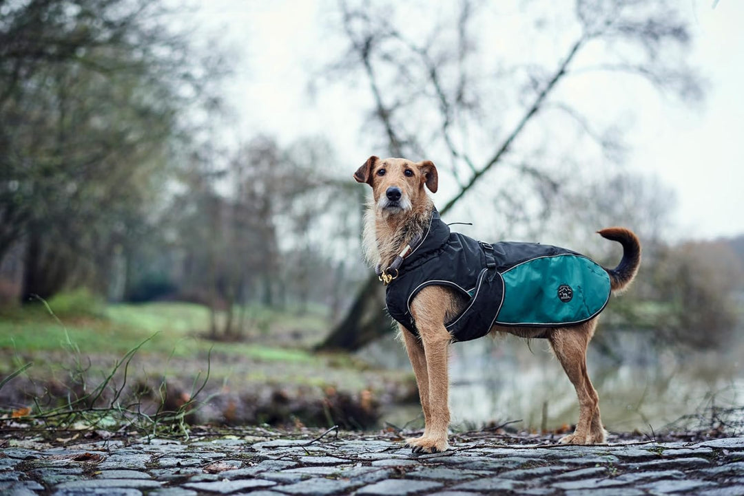 Hunter UPPSALA ALLROUNDER Hundemantel, 2-in1, herausknöpfbares Fleece-Futter, wasserabweisend, 35, a