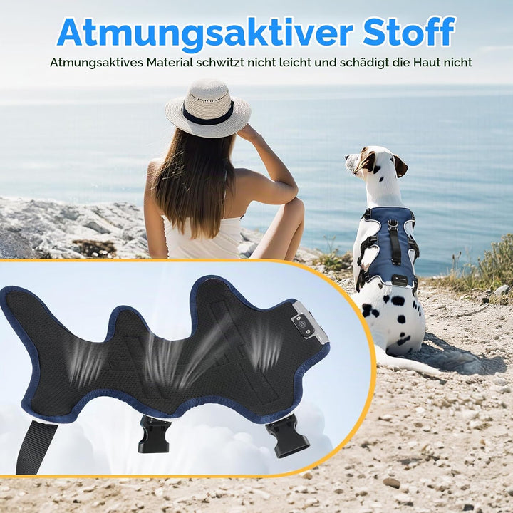 Jewyow Hundegeschirr Leuchtend, Wiederaufladbare LED Hundegeschirr, Led Geschirr für Hunde mit Weich