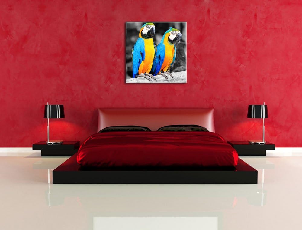 Zwei Papageien als Leinwandbild/Grösse: 70x70 cm/Wandbild/Kunstdruck/fertig bespannt, 70x70