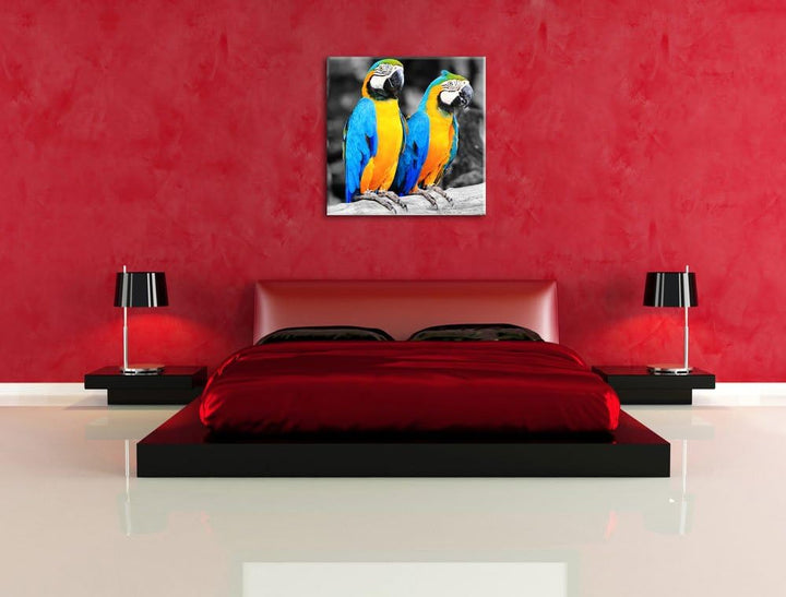 Zwei Papageien als Leinwandbild/Grösse: 70x70 cm/Wandbild/Kunstdruck/fertig bespannt, 70x70