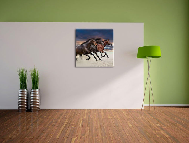 Drei wilde Westernpferde, Format: 70x70 auf Leinwand, XXL riesige Bilder fertig gerahmt mit Keilrahm