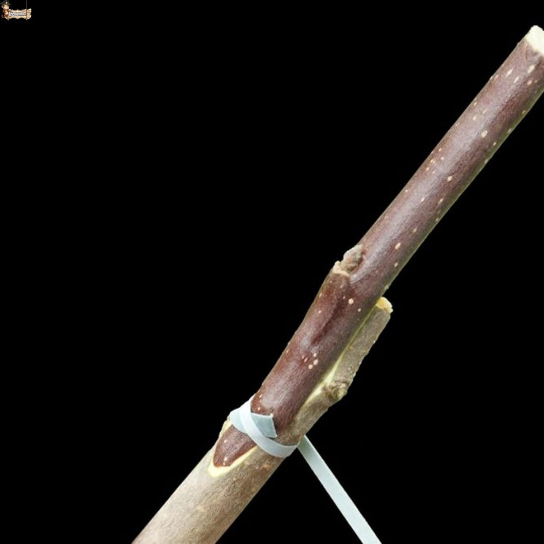 BricoLoco.com Elastisches Pfropfgummis 240 x 8 mm 70 Gummis Flexiband für manuelle Veredelung in Bäu