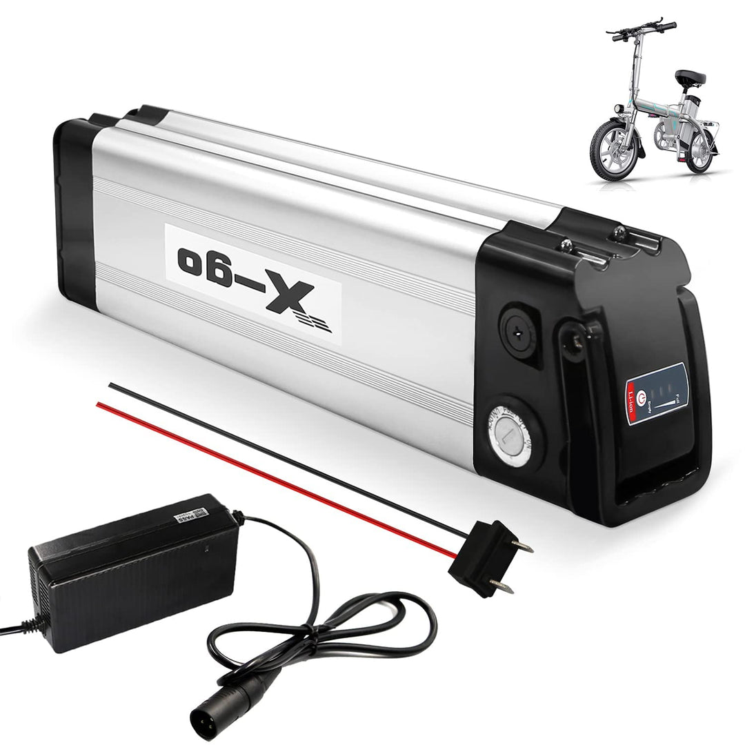 X-go Ebike Batterie, Elektrofahrrad Batterie E-Bike Lithium Batterie Silber Fisch mit Ladegerät, Led