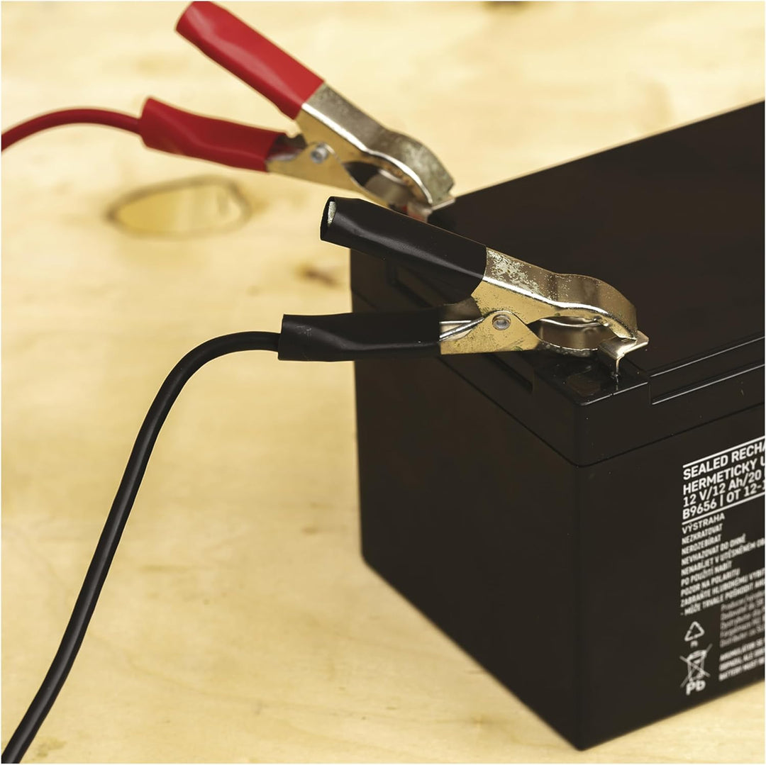 EMOS Wartungsfreier Bleiakku/Bleiakkumulator für Gefahrmeldeanlagen, Brandmeldetechnik, USV, Aufzüge