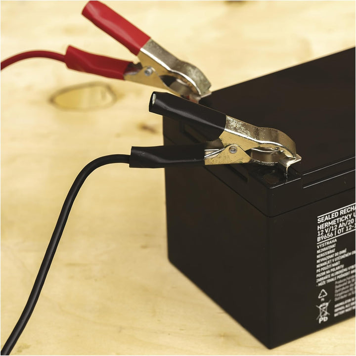 EMOS Wartungsfreier Bleiakku/Bleiakkumulator für Gefahrmeldeanlagen, Brandmeldetechnik, USV, Aufzüge