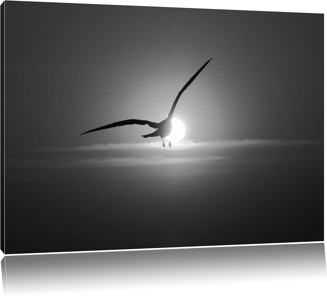Pixxprint Möwe fliegt in den Sonnenuntergang als Leinwandbild | Grösse: 100x70 cm | Wandbild| Kunstd