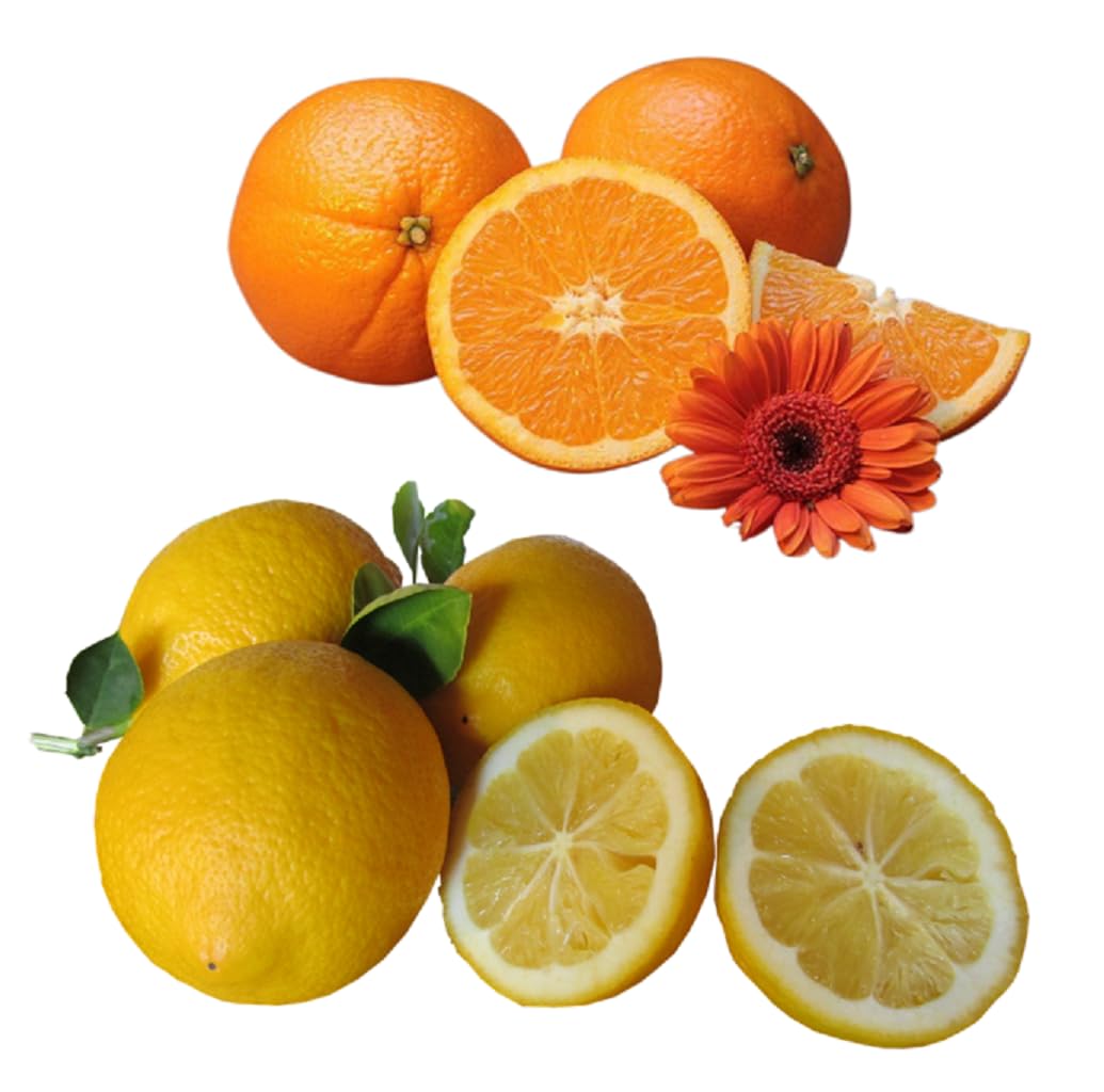 Dufte Momente Whirlpoolduft Orange-Citrus - 1 Liter